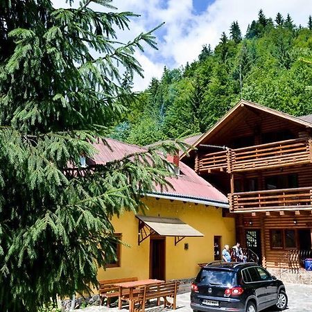 Cabana Bradul Óradna Kültér fotó
